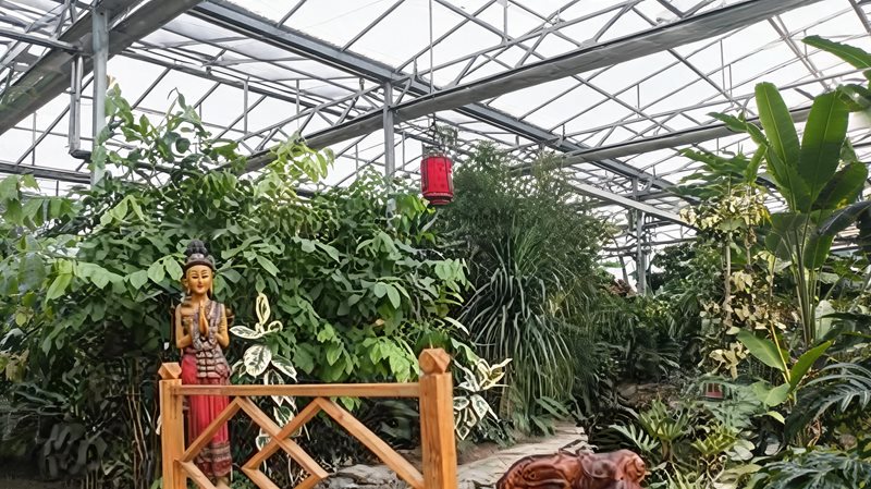 长力金源（）热带植物园