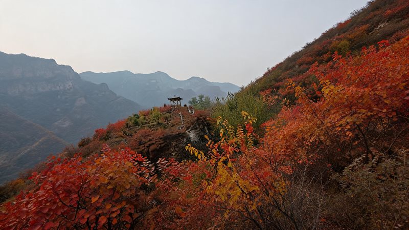 坡峰岭
