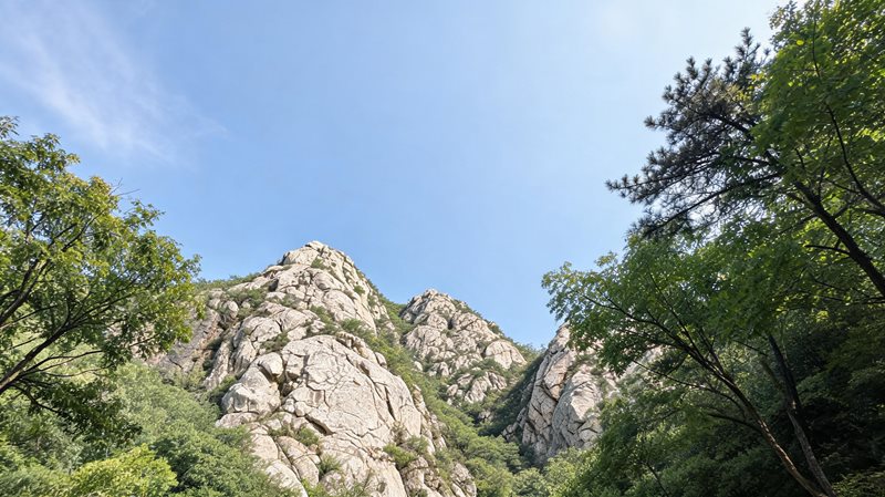 大岭沟猕猴桃谷
