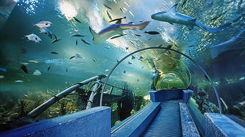 海昌极地海洋公园