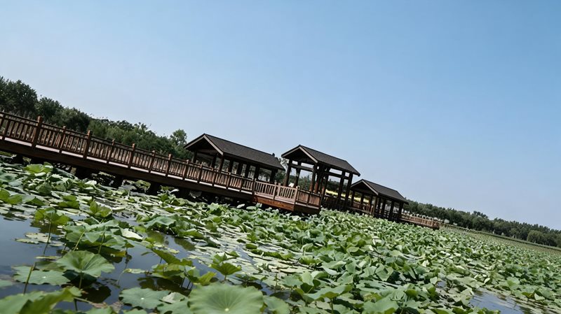 东丽湖自然艺苑