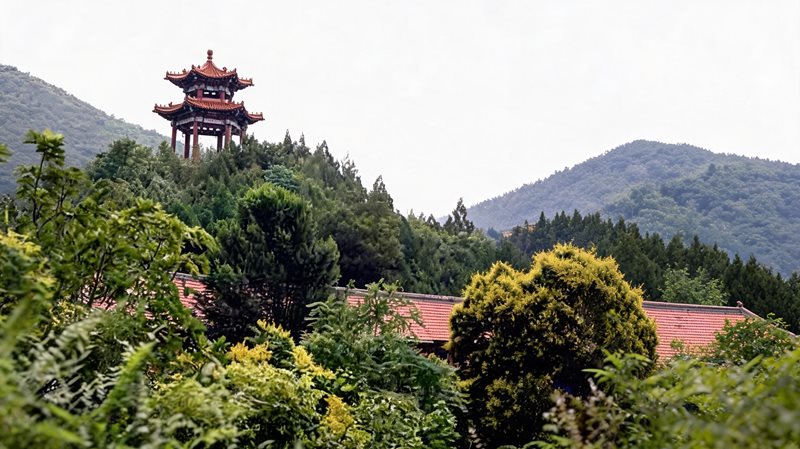 九龙山国家森林公园