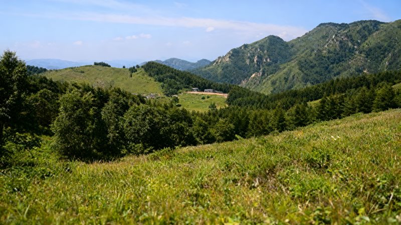 驼梁