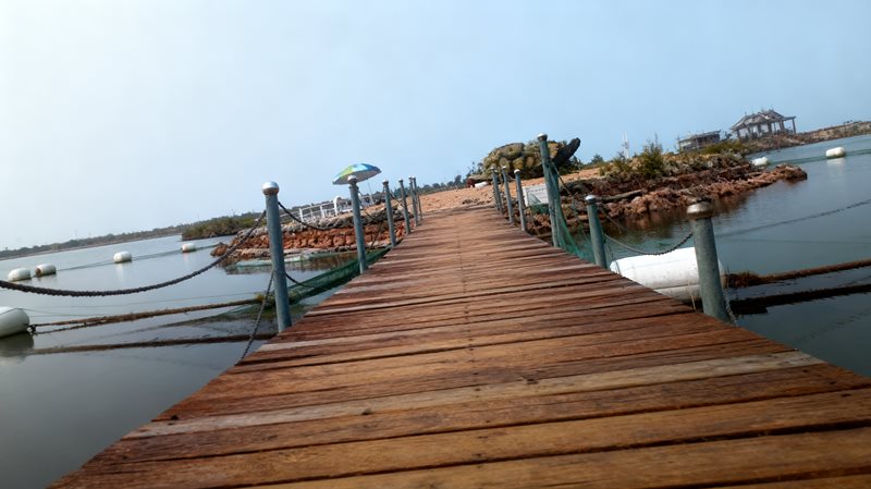 鸽子窝公园