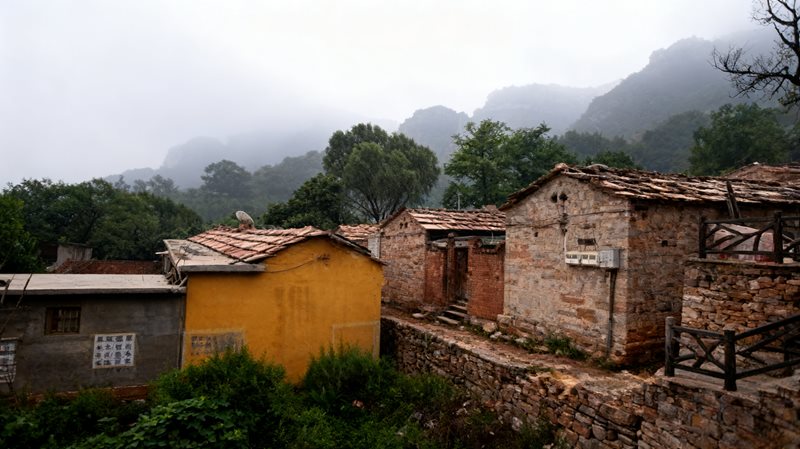 武安市长寿村