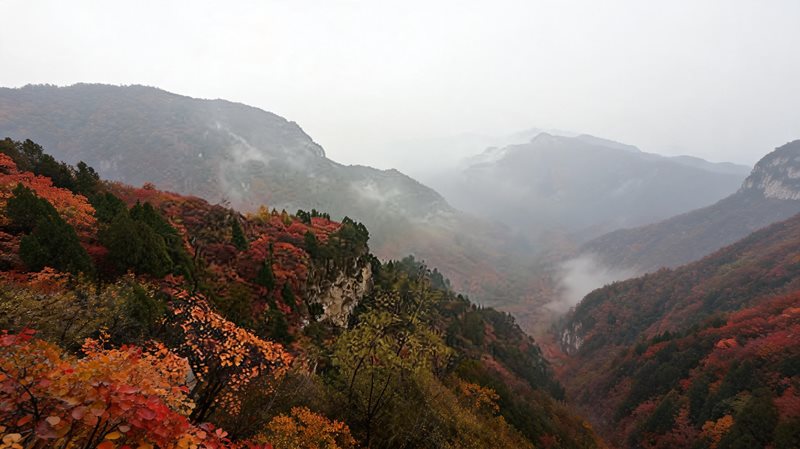 仙台山