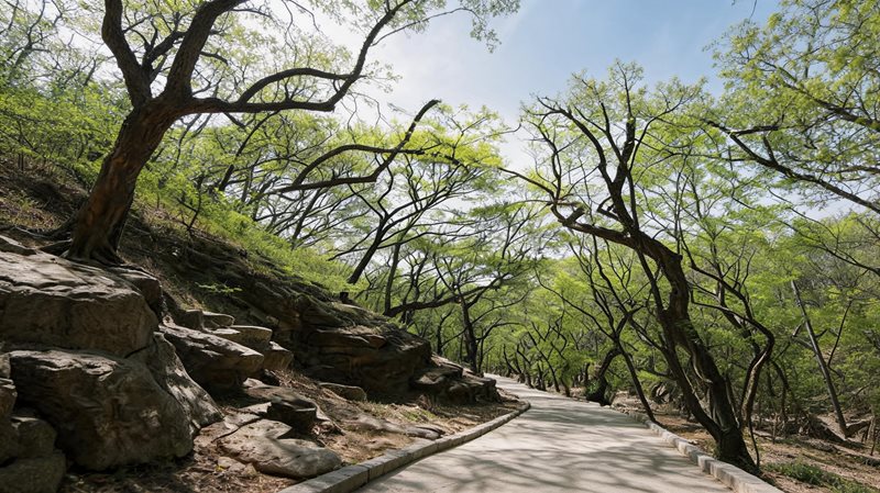国家森林公园景区（植物园