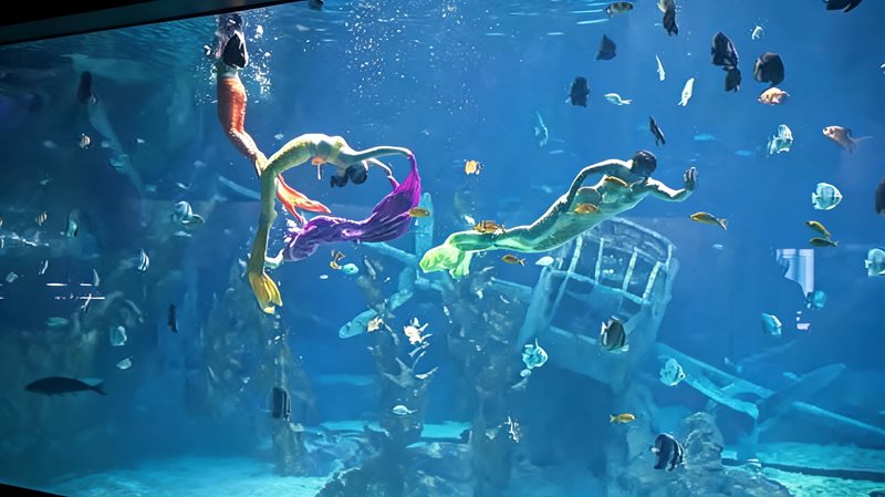 罗源湾海洋世界