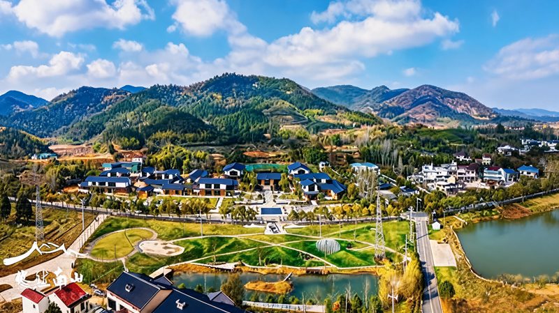 悠然南山