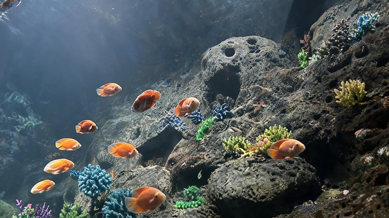 梦幻海洋大世界