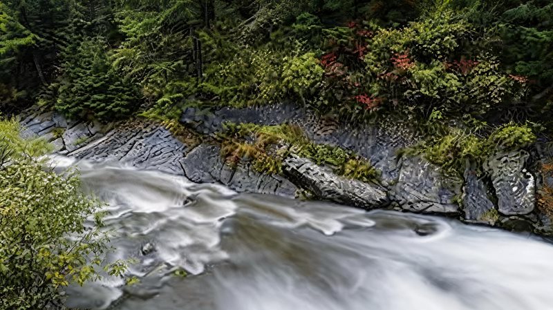 宁武芦芽山生态