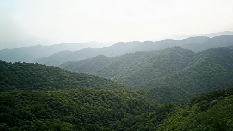 翠枫山