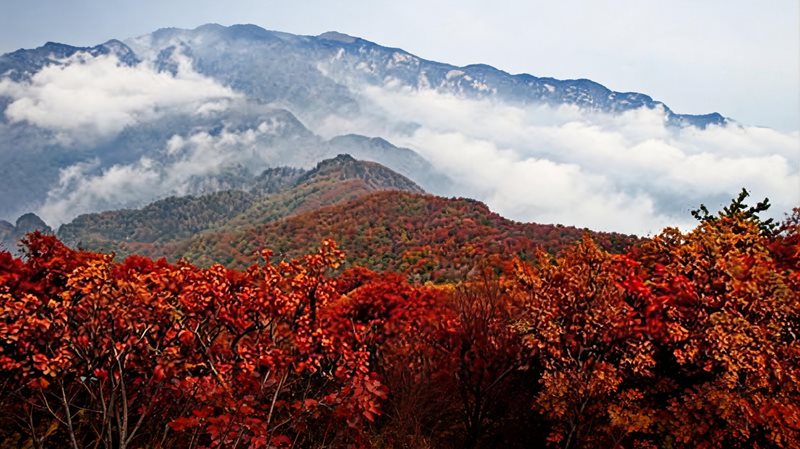 历山