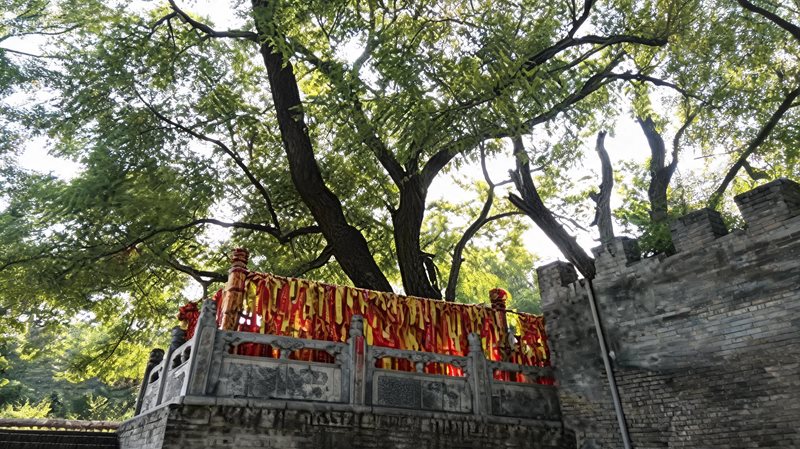 洪洞大槐树寻根祭祖园