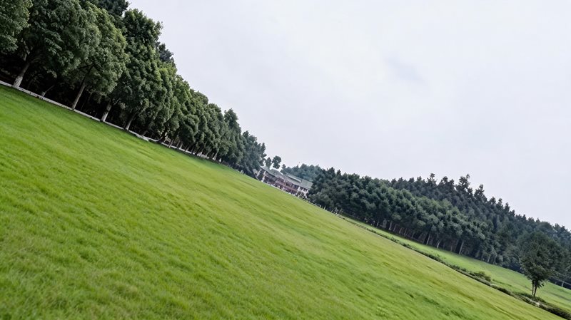 中南百草原