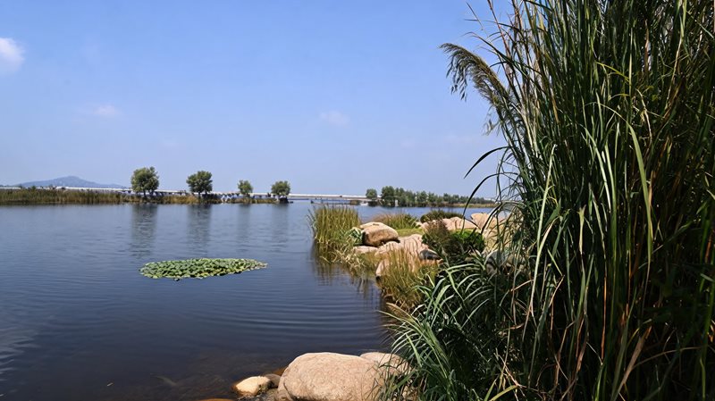 宜兴市云湖旅游