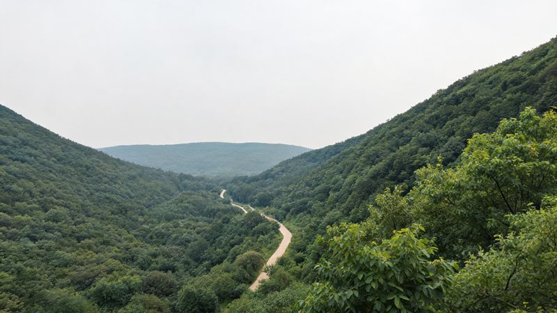 老山森林公园