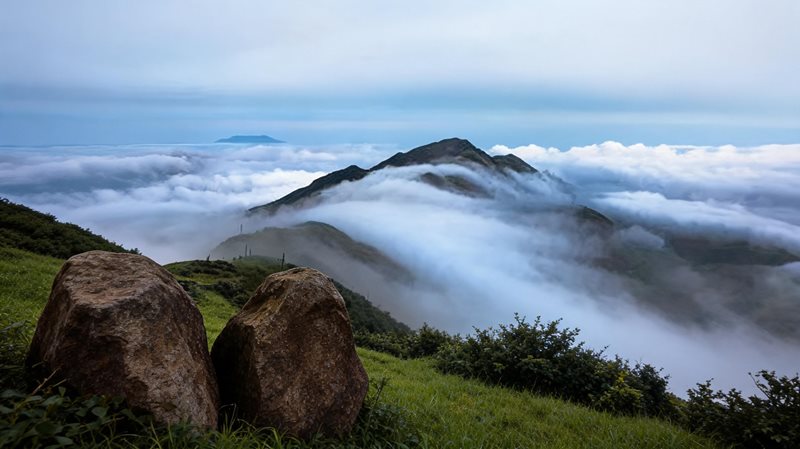 大金山