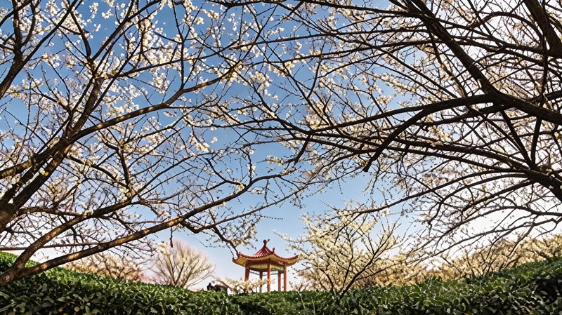傅家边农业科技观光园