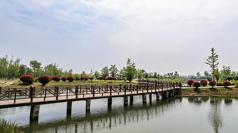 泗洪县洪泽湖湿地公园