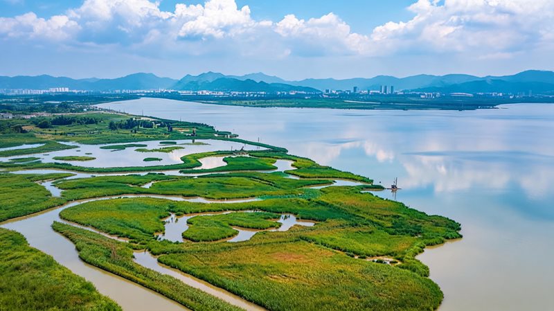 浙江省玉环漩门湾湿地