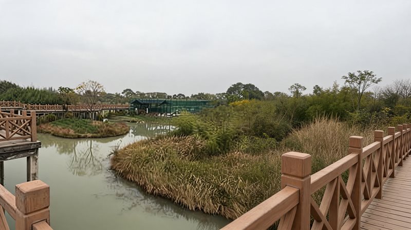 浙江省长兴县中国扬子鳄村