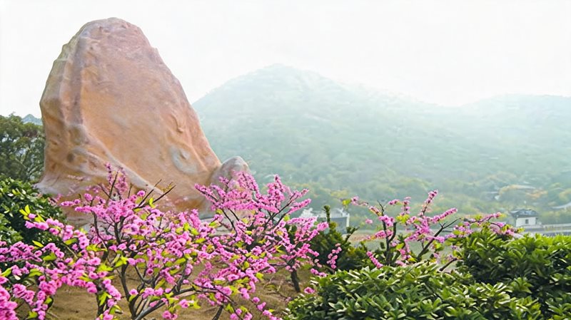 桃花岛旅游