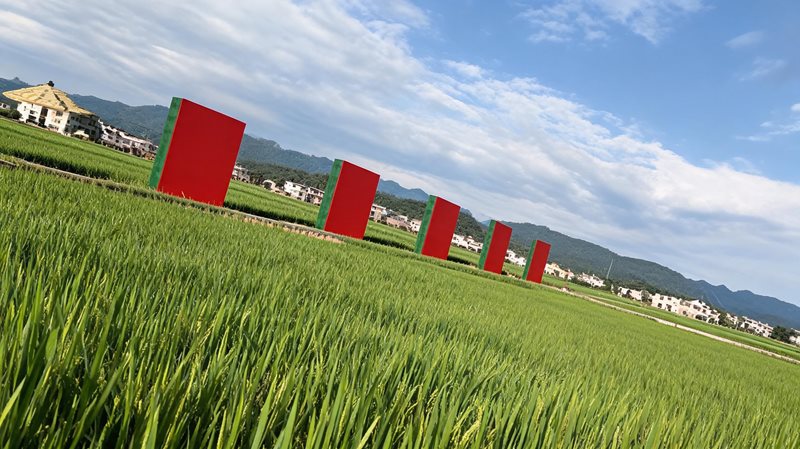 安仁稻田公园
