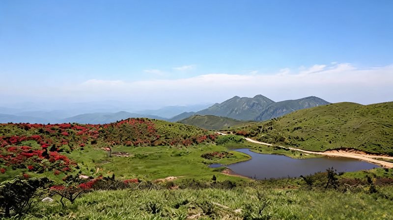 西瑶绿谷