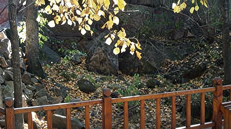 铮子山地质森林公园管理处