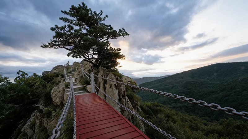 森工清河林区旅游