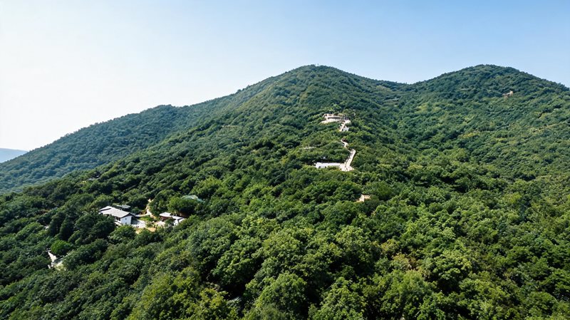 五苜国家森林公园