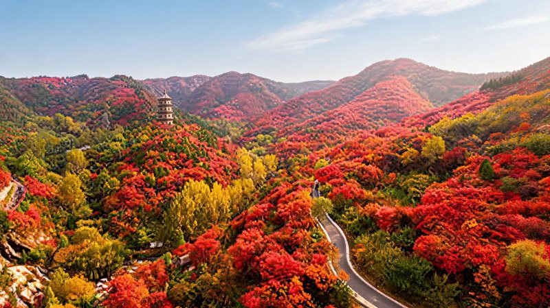 红叶谷生态文化