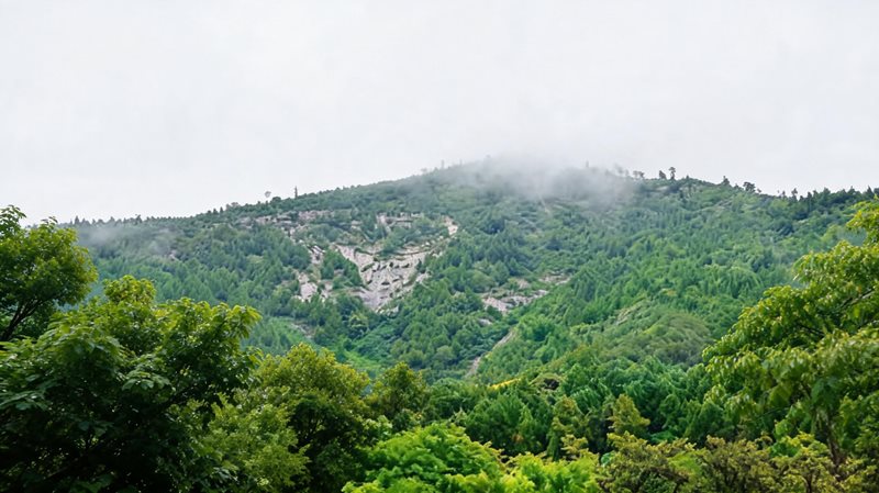 仙坛山