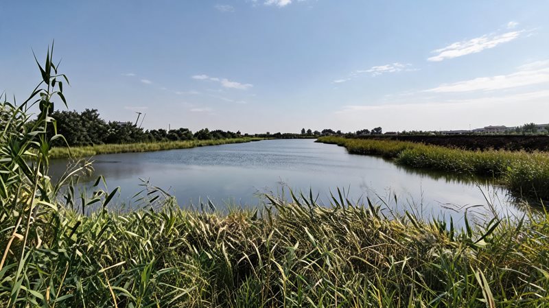 国家湿地公园
