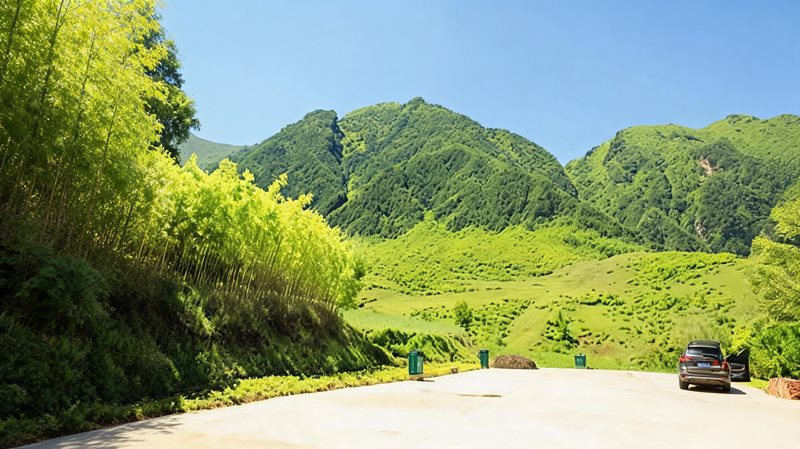 临洮县南屏山生态旅游