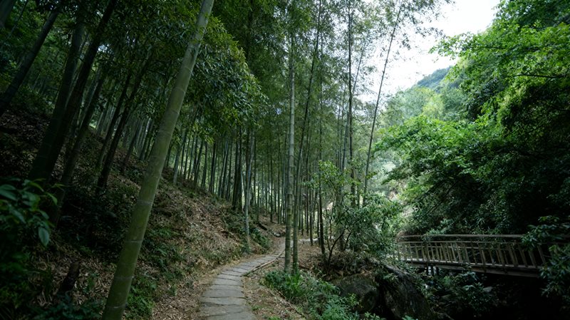 江西省梅岭竹海明珠